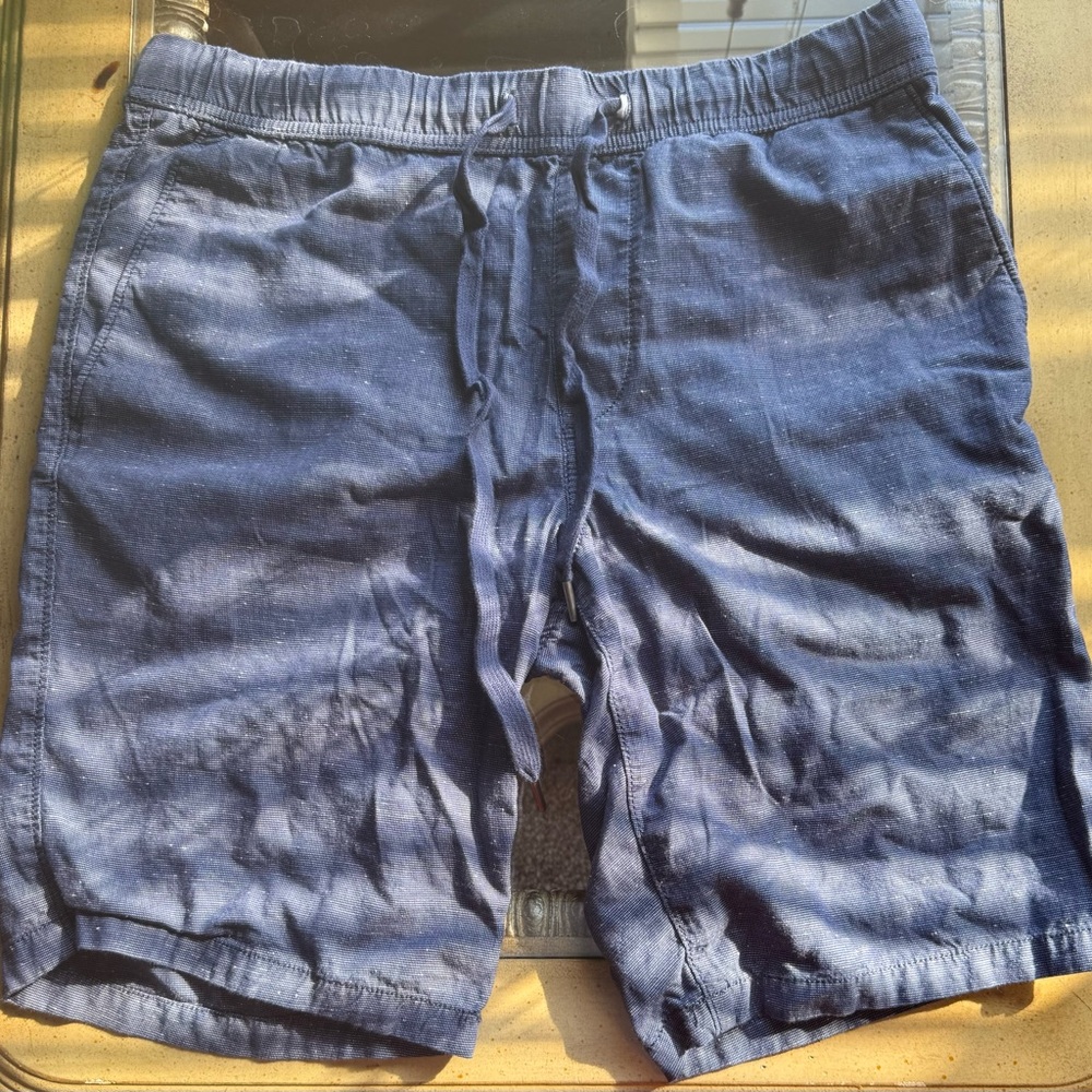 Express Navy Blue Flat Front Shorts